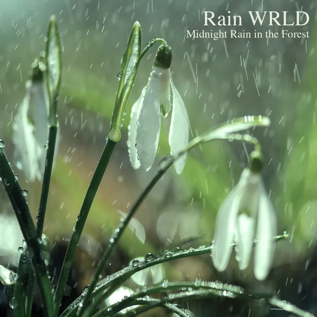 Rain WRLD