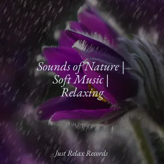 Sounds of Nature | Soft Music | Relaxing by Relajacion Del Mar