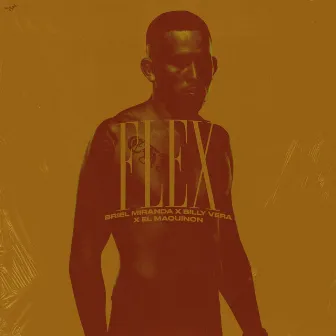 Flex by Briel Miranda