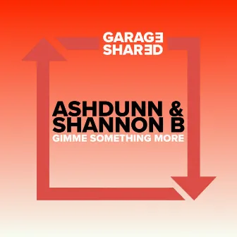 Gimme Something More by Shannon B