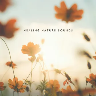 Healing Nature Sounds - Time for Deep Relaxation & Improve Your Mindfulness by Nature Soothing Melodies