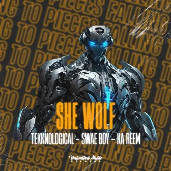 She Wolf (Falling to Pieces) by Swae Boy