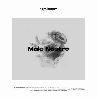 Male Nostro by Spleen