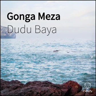 Gonga Meza by Dudu Baya