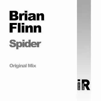 Spider by Brian Flinn