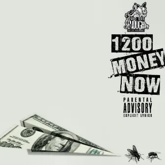 Now by 1200 Money