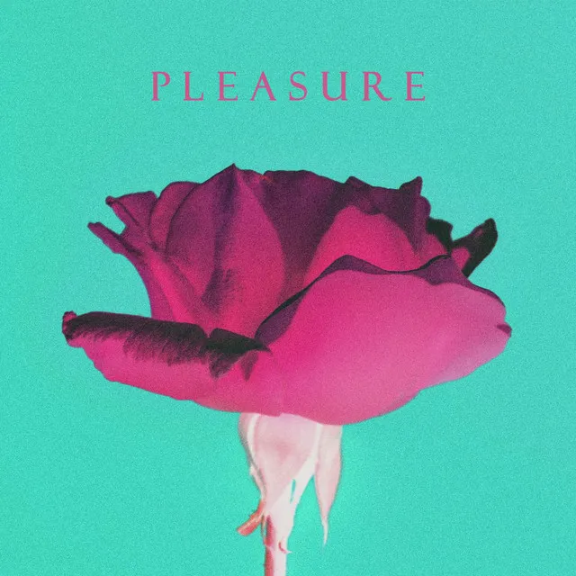 Pleasure