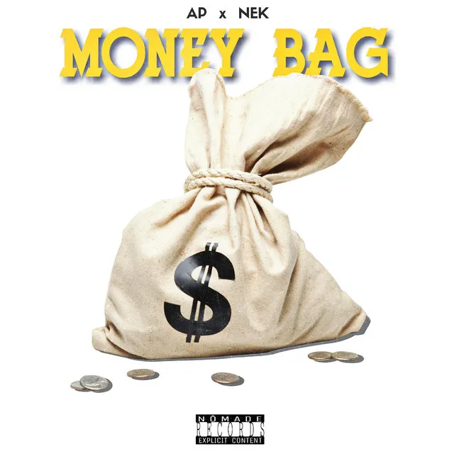 Money Bag