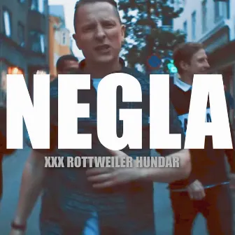 Negla by XXX Rottweiler hundar