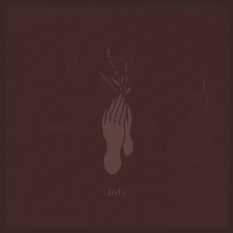 New Start by Jolé