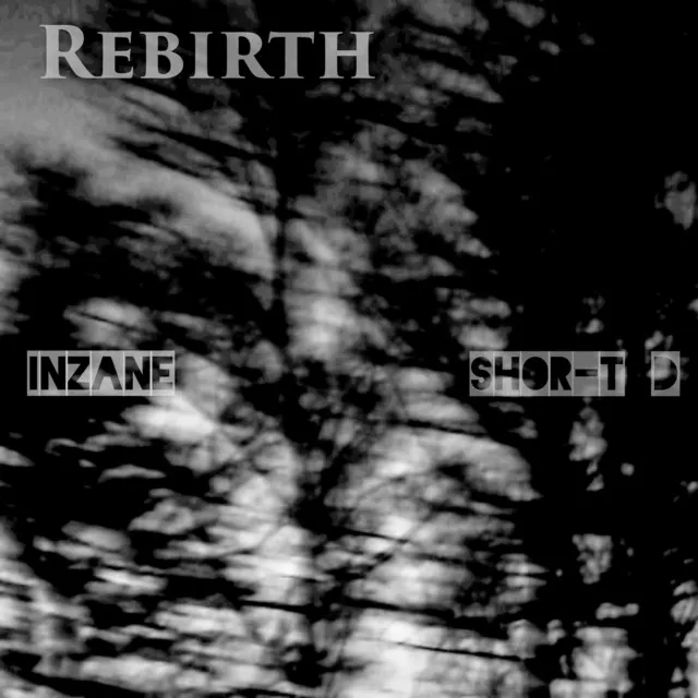 Rebirth