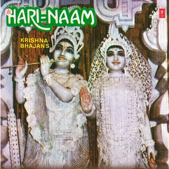 Hari Naam by Vijayta Pandit