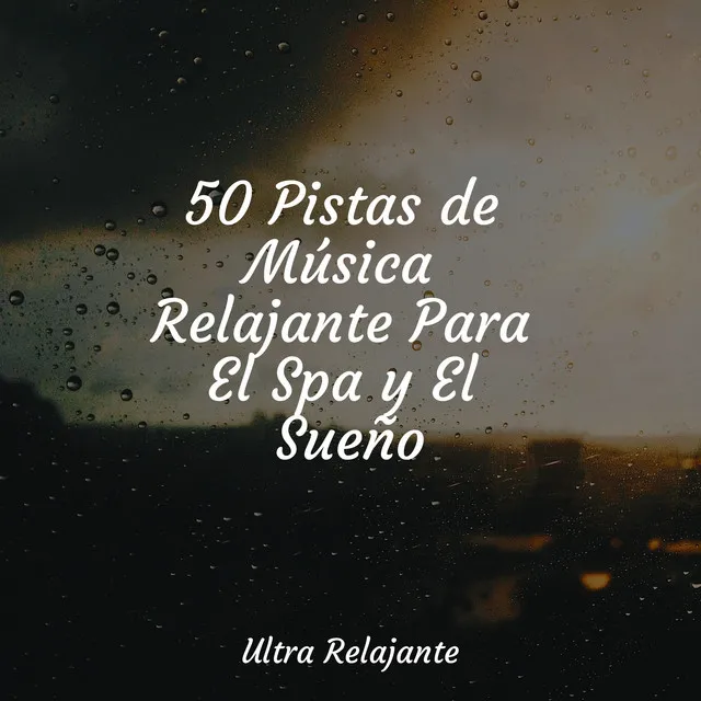 50 Pistas de Música Relajante Para El Spa y El Sueño