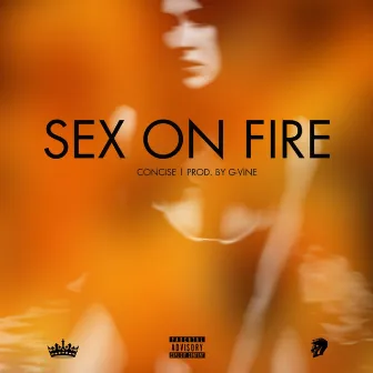 Sex On Fire by Concise