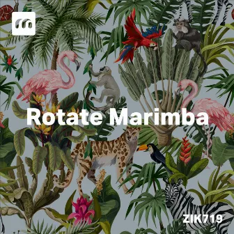 Rotate Marimba by Leo Nissim