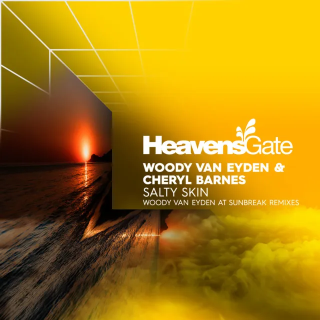 Salty Skin (Woody van Eyden at Sunbreak Remix)