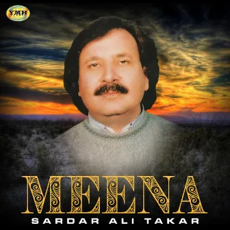 Meena by Sardar Ali Takar