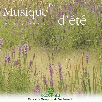 Chlorophylle, Vol. 6 : Musique d'été by Relaxing Zen Nature