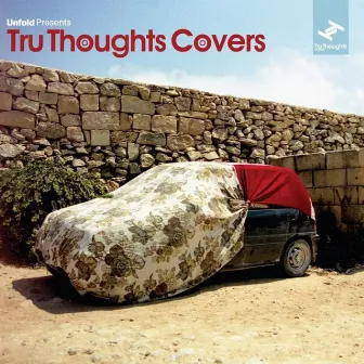 Tru Thoughts Covers, Vol. 1 (Compiled by Robert Luis) by Robert Luis