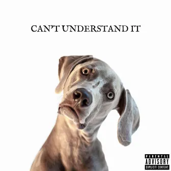 Can't Understand It by 2000 Kid