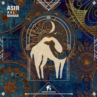 Asir by Rohaab