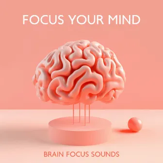 Focus Your Mind: Brain Focus Sounds by Study Skills Music Academy