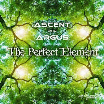 The Perfect Element by Argus