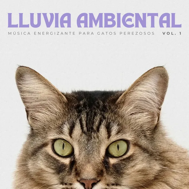 Lluvia Ambiental: Música Energizante Para Gatos Perezosos Vol. 1