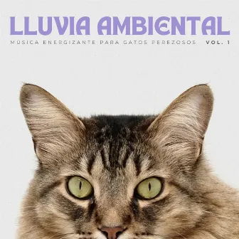 Lluvia Ambiental: Música Energizante Para Gatos Perezosos Vol. 1 by Gato Música Relajación