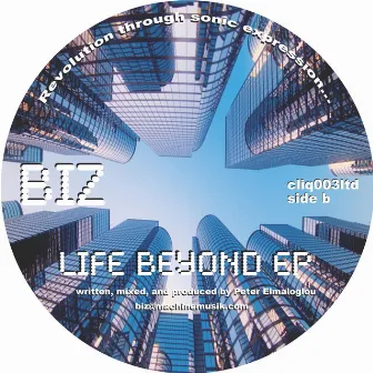 Life Beyond by Biz