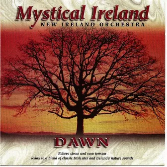 Mystical Ireland - Dawn by New Ireland Orchestra