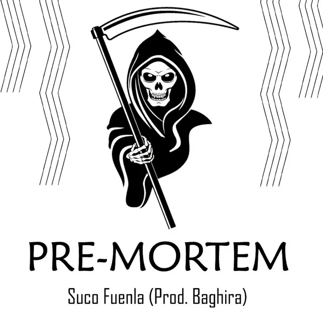 PreMortem