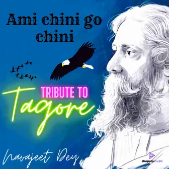 Ami Chini Go Chini by Navajeet Dey