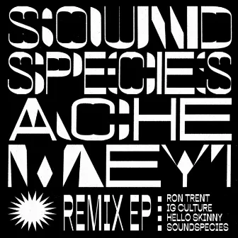 Soundspecies & Ache Meyi (Remix EP) by Soundspecies