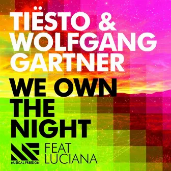 We Own the Night by Wolfgang Gartner