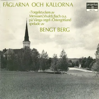 Fåglarna och källorna by Bengt Berg