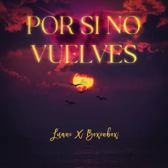 Por Si No Vuelves by Luani