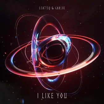 I Like You by CARLIE