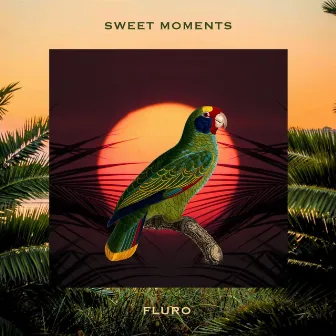 Sweet Moments EP by Fluro