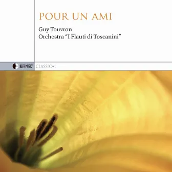 Pour un ami by Guy Touvron