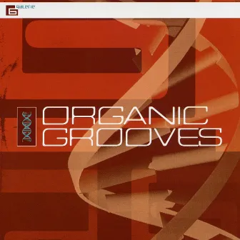 Organic Grooves by Lyonel Bauchet