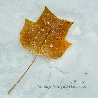 Musings In Mystic Harmonics by Samuel Romero