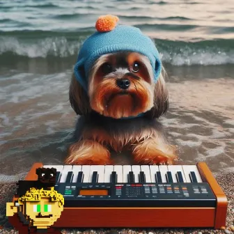 Dog Wave Melodies Series 6 by Jake & Spike Music