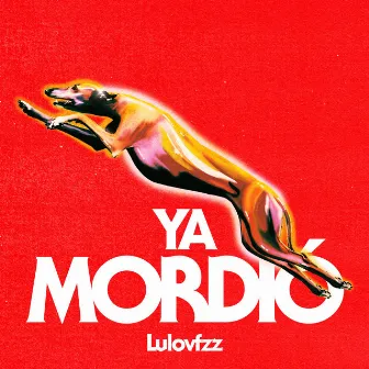 Ya Mordió by Lulovfzz