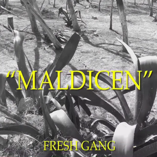 Maldicen (Fresh Gang)