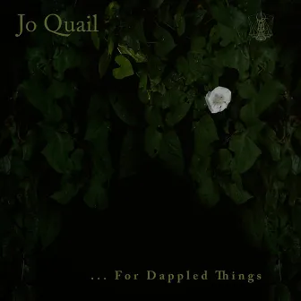 ...For Dappled Things by Jo Quail