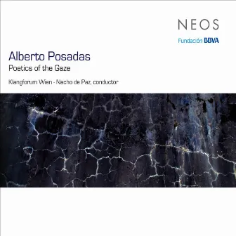 Alberto Posadas: Poetics of the Gaze by Alberto Posadas