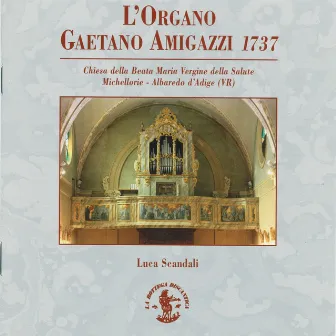 Organisti italiani a confronto - Organo Gaetano Amigazzi, 1737, Chiesa Beata Maria Vergine della Salute, Michellorie, Albaredo d'Adige, Verona, Italy by Luca Scandali