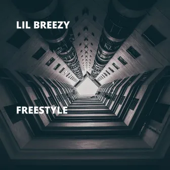 Freestyle by Lil Breezy