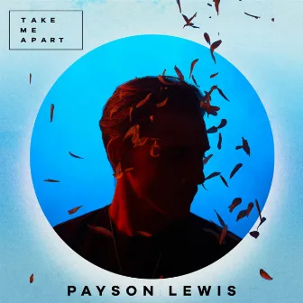 Take Me Apart by Payson Lewis